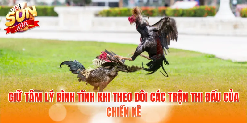 7 Kinh Nghiệm Đánh Đá Gà: Điều Người Chơi Mới Cần Biết 3 Giữ tâm lý bình tĩnh khi theo dõi các trận thi đấu của chiến kê