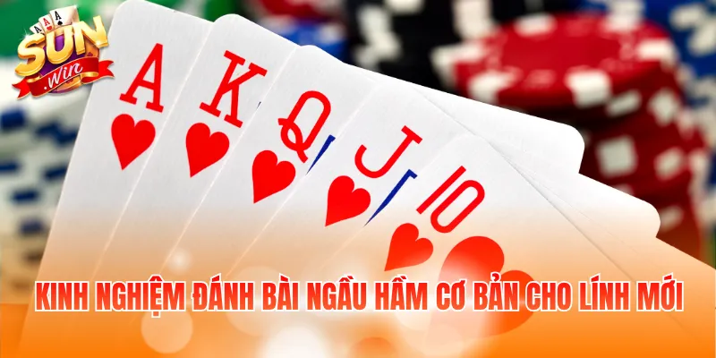 Kinh Nghiệm Đánh Bài Ngầu Hầm Giúp Người Chơi Dễ Thắng 3 Kinh nghiệm đánh bài Ngầu Hầm cơ bản cho lính mới