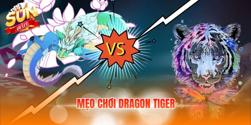 Mẹo Chơi Dragon Tiger – Bỏ Túi 5+ Bí Quyết Đặt Cược Hay 4 meo choi dragon tiger